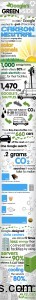 Google-Green-Side-Infographic