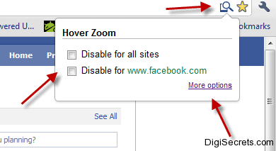Hover Zoom Options