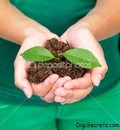 Young-woman-holding-plant-in-her-hand