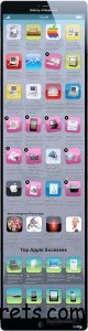 History Of Apple Infographic